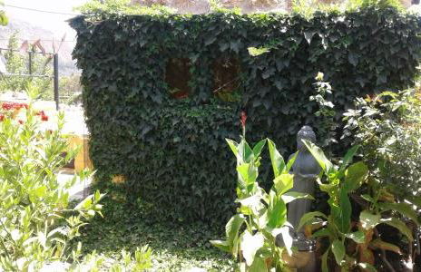 Casas Amaro - Foto 133