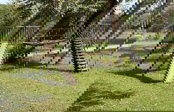 Magnífico Rancho em Jarinu - Foto 34