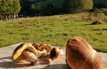 Domek w Górach Sowich - Foto 17