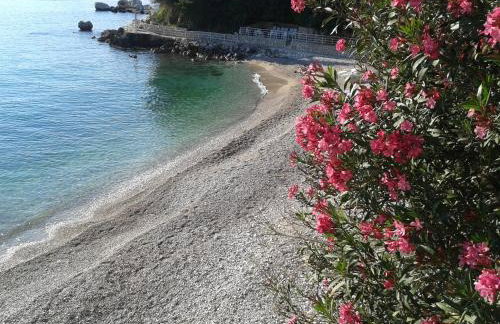 Apartmani Matija - Foto 63