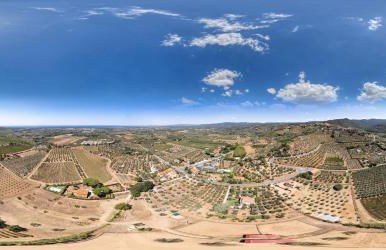 Agriturismo IL VECCHIO OLIVO - Foto 20