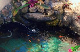 Casa de praia com vista para o mar - Foto 10