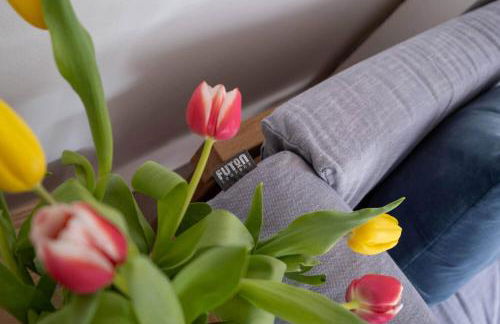 Little Nye - Foto 14