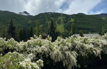 Appartement 4 pers grande terrasse vue pistes ski - Photo 40