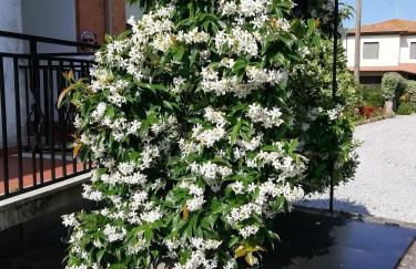 Villetta di Campagna - Foto 17