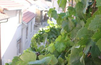 Casa do Sapateiro - Foto 28