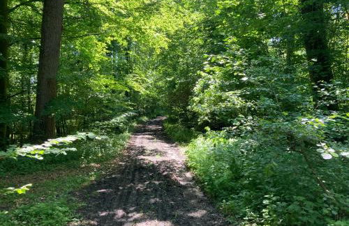 In der Wassermühle - Foto 21