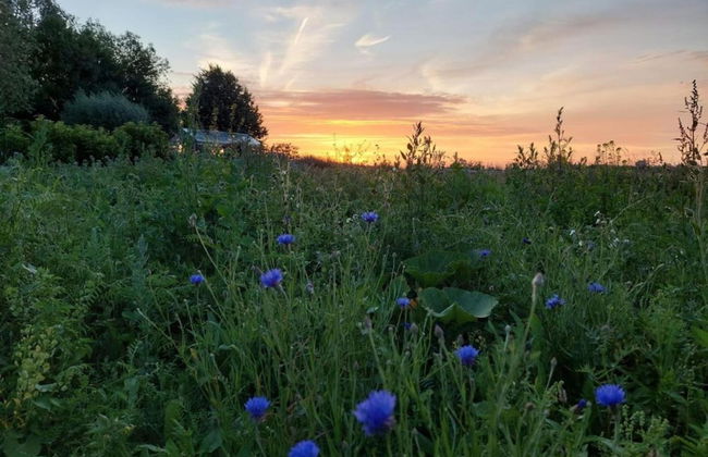 Country House in Poperinge Near WWI Sites - Photo 32