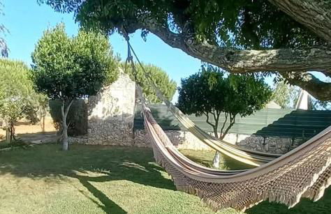 Quinta das AVES - Estudio 6 - Foto 7