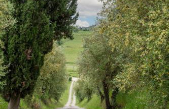 Cantagrillo Boutique Resort - Foto 14