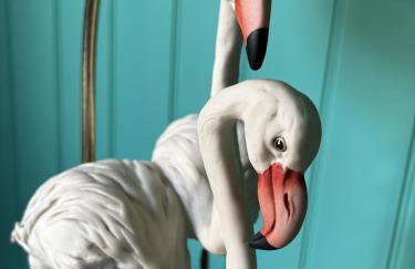 Georgian Russell - Foto 7