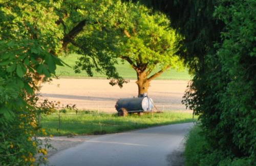 Rösslerhof Ferienwohnung Obstwiese - Photo 16