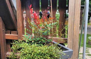 Wanderhütte Zum Glückstal - Foto 35