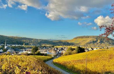 Ferienweingut Matthias Löwen - Foto 109