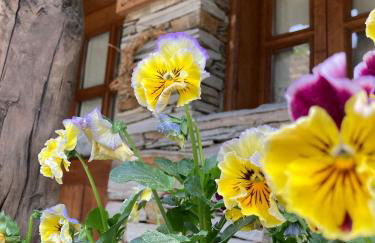 Casas na montanha vistas fantásticas com piscina - Foto 80