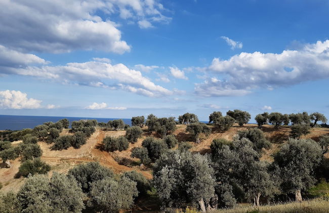 Agriturismo Vulcano - Foto 8