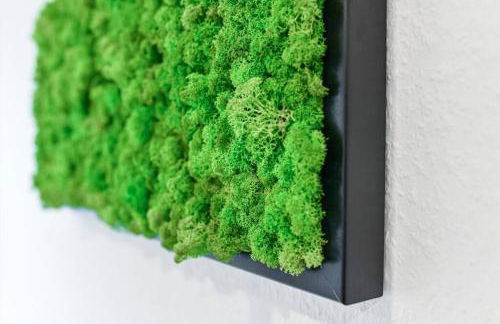 Ferienhaus Kopf in Bad Buchau - Foto 23