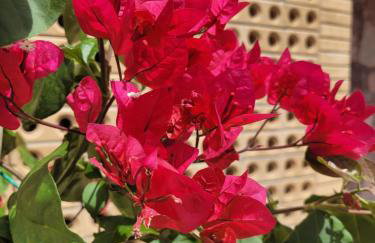 Chalé Gravatinha - Foto 7