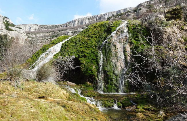 Apartments Smilje & Maslina - Foto 65