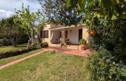 Villetta La Casa Vecchia Baja Sardinia - Foto 41