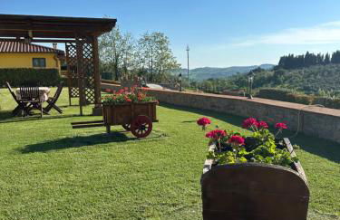 Colle Del Sole - Foto 7