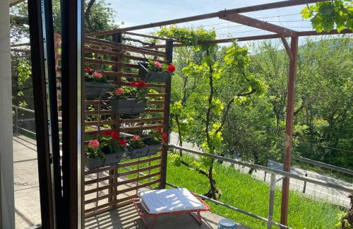 Apartman Verona Buzet - Foto 33