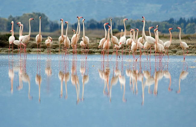 Lewisrooms Domo - Foto 40