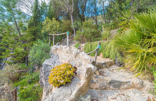 Ca Na Carme Alaronera - Foto 4