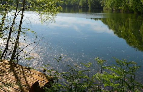 Treeloft Adventure in Nature for 4 People 17 - Photo 32