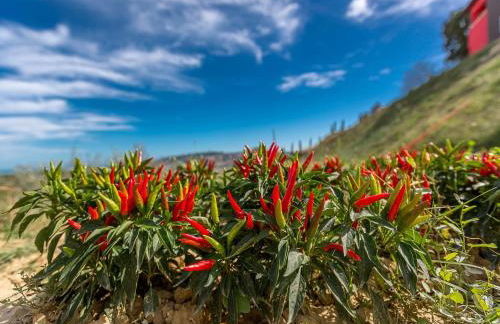 Agriturismo Il Sapore Della Luna - Foto 49