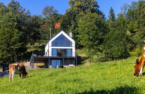 Pagorek Villa & Relax - Foto 13