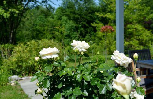 Gartenparadies - Photo 22