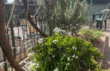 casa monte maggio - Foto 31