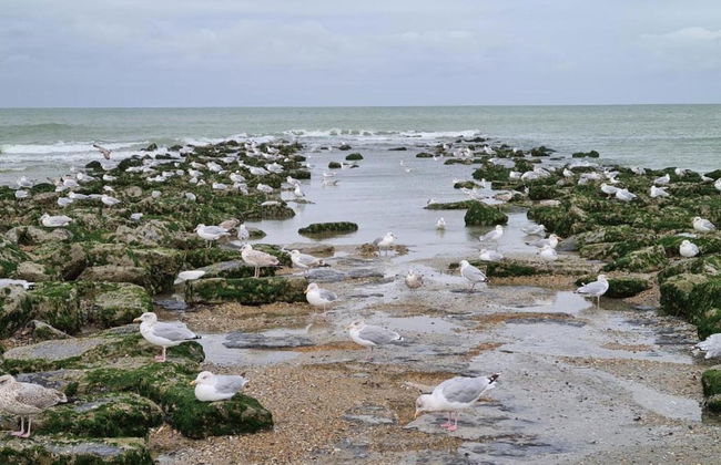 Luxurious Villa in a Residential Location - Foto 32