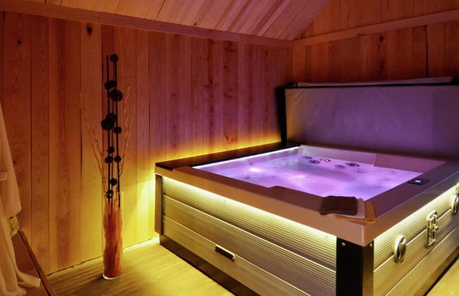 Luxury House with Indoor Pool, Sauna, Hot Tub - Photo 26