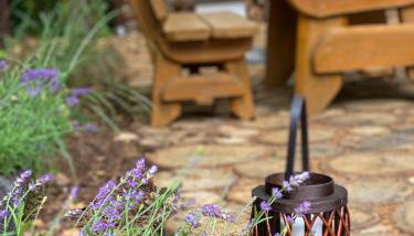 Lawendula domek nad Miedwiem - Foto 4