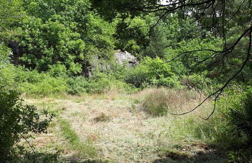 Apfelscheune Cannewitz - Foto 69