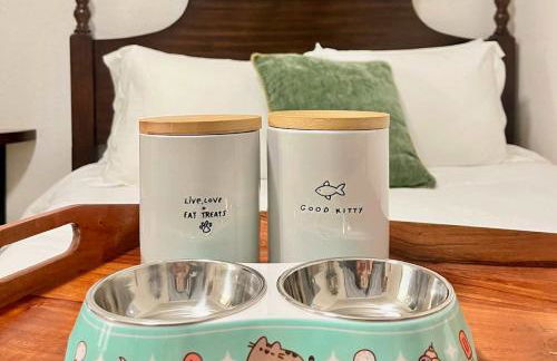 Colorful Casita Frida 1BD Retreat by Balboa Park - Foto 35