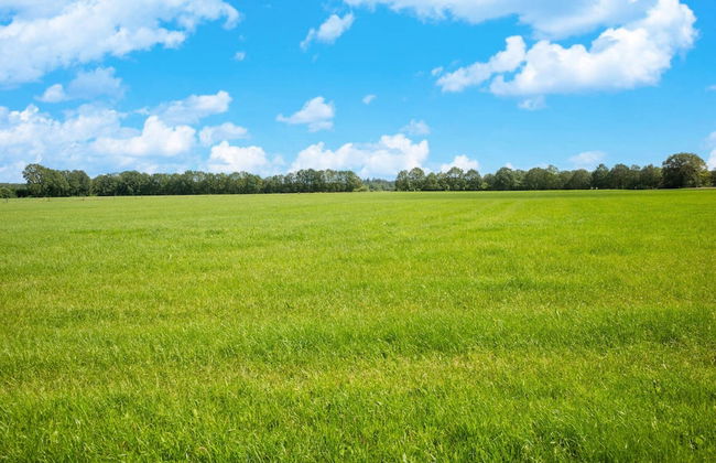 Lodge in Hattemerbroek Near Veluwe Forest - Foto 40