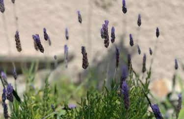 Villa Cocody - Foto 24