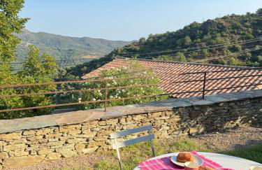 Maison de village 3 chambres 2 SDB avec terrasse & jardin - Proche St Florent - Foto 6