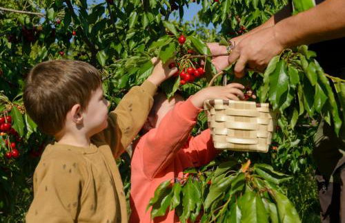 Cerrás Agroturismo - Foto 68