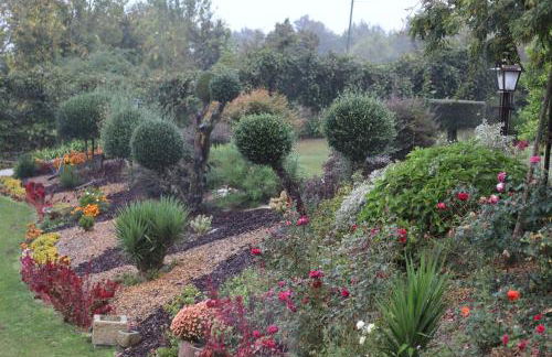 Sonho Verde - Foto 31