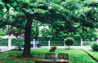 NikoleTakis Apartments - Foto 30