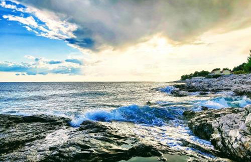 Apartments Galeb - Photo 64