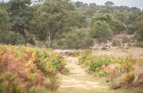 Mount Pleasant Farm, Dunwich - Foto 57