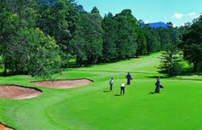 Sana Guest - Photo 17