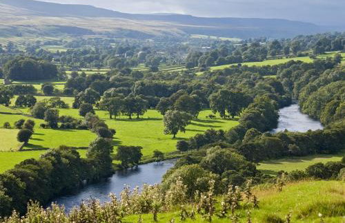 Old Hall Cottage No 1 - Foto 10