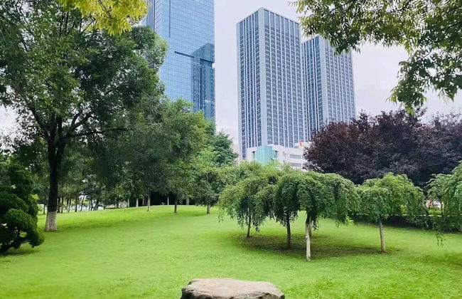 Yantai Tianma Argyle Suites - Foto 75