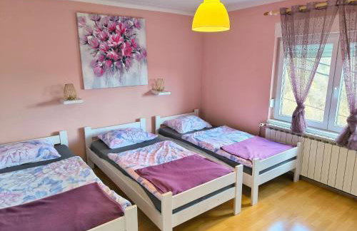 Discover the magic of nature - Foto 19